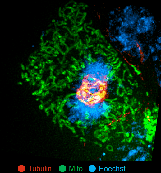 1639202346281376.gif e847e90c-4956-4245-92a0-4d4f2e86be34.gif