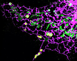 1639202356956508.gif eb8289b0-fe98-4422-ab29-d8d2f8a54de2.gif