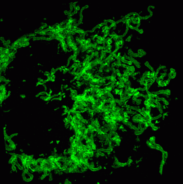 1639202321189225.gif 8000572a-fdd8-40d4-9f3c-867756e891ee.gif